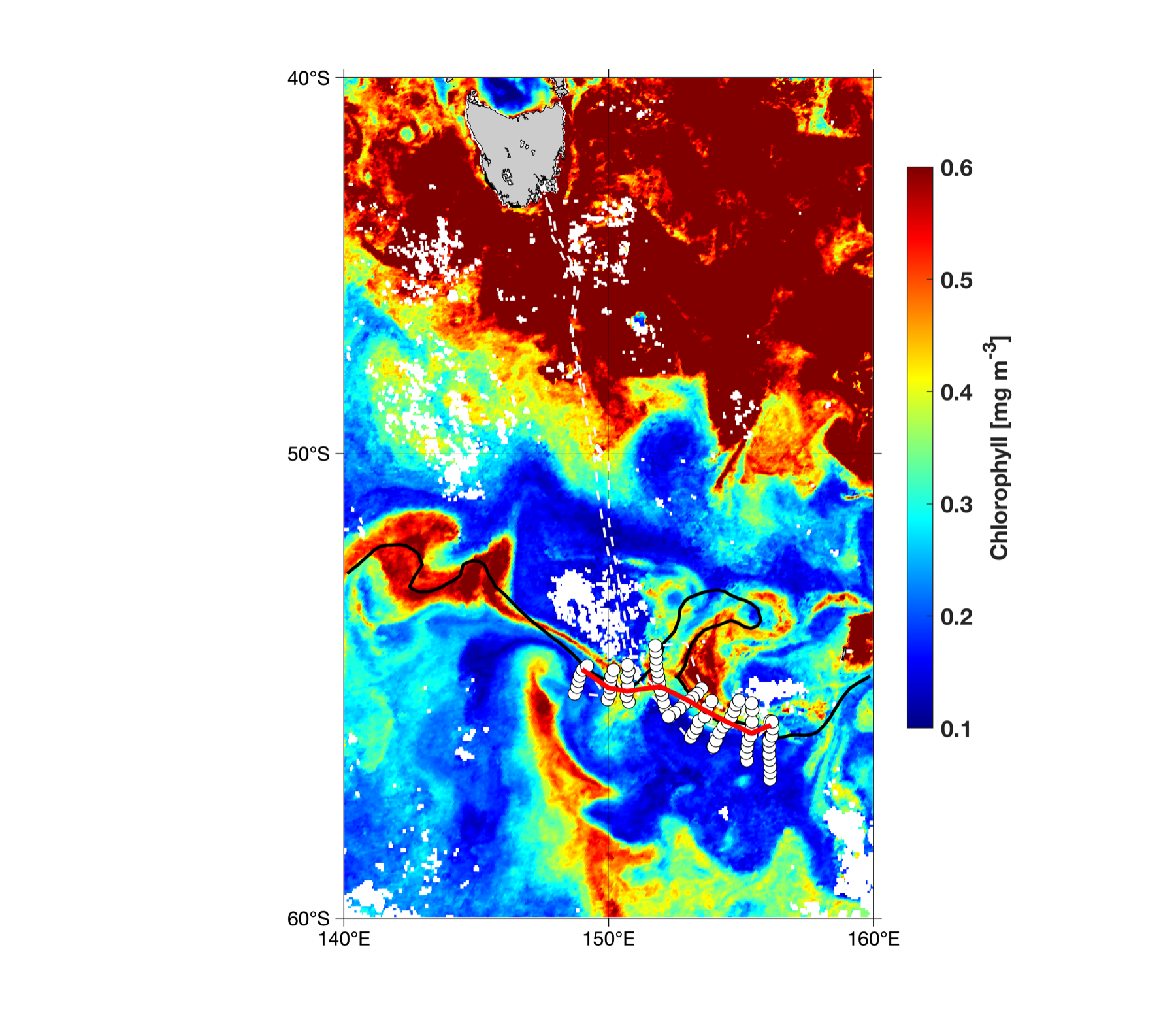 Satellite chlorophyll map south of Tasmania showing Southern Ocean variability and an observing transect