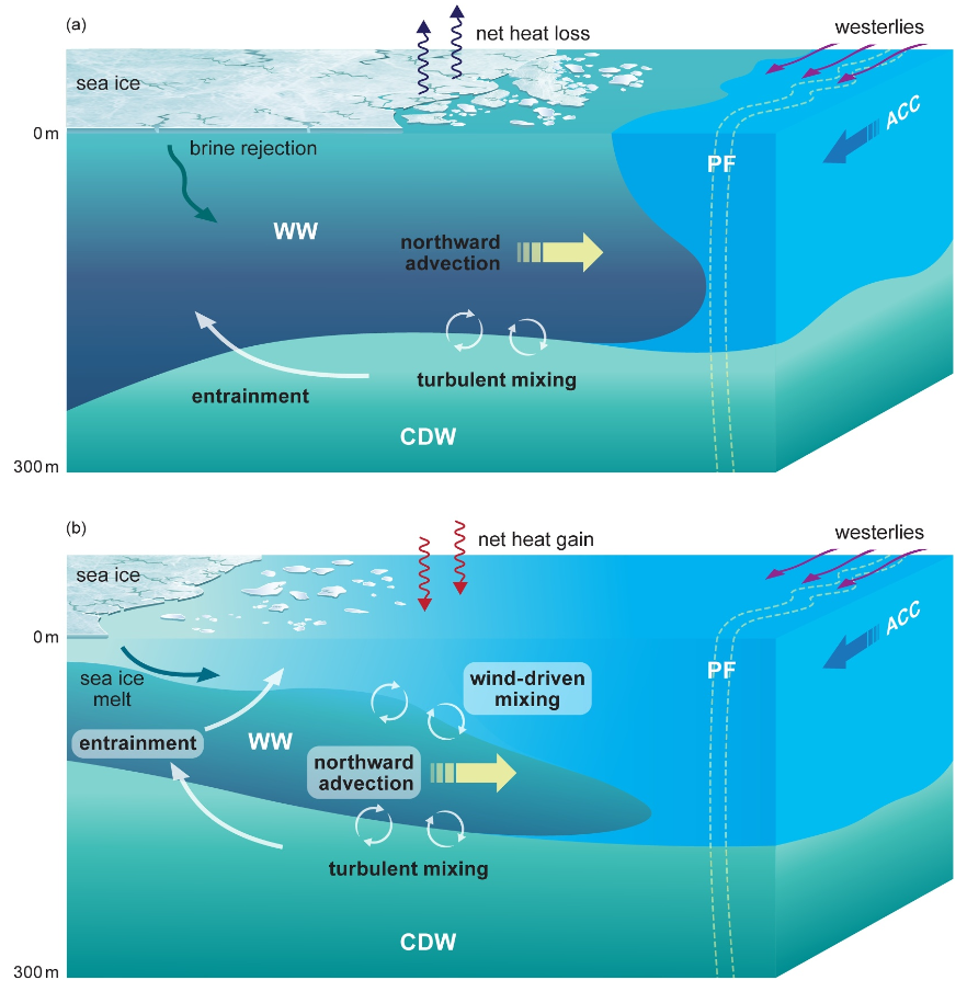 Schematic of Antarctic Winter Water, mixing, and sea-ice processes